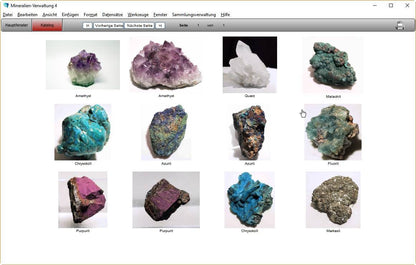 GS Mineralien-Verwaltung 4