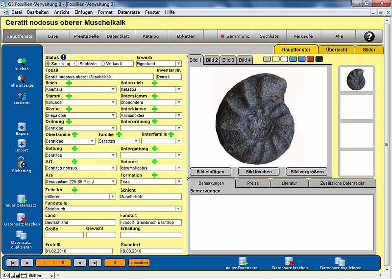 GS Fossilien-Verwaltung 3