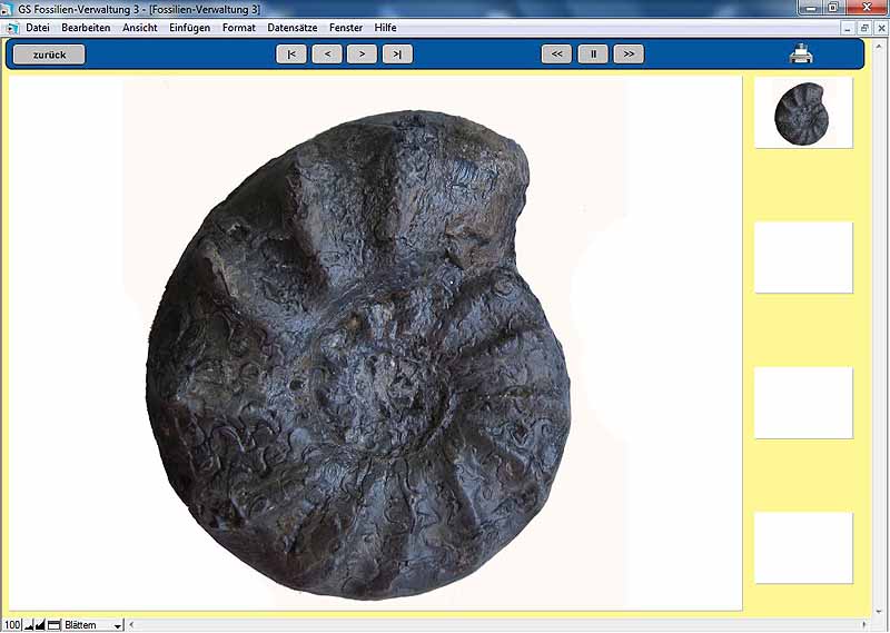 GS Fossilien-Verwaltung 3