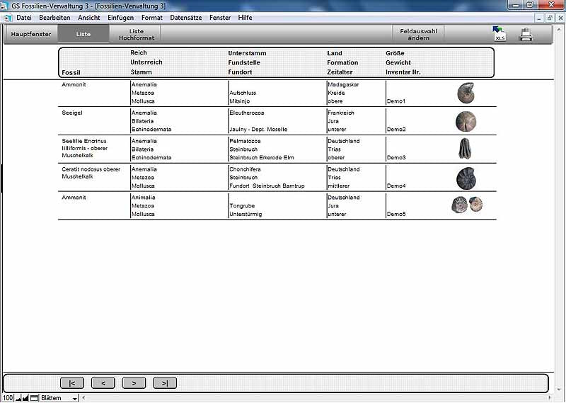 GS Fossilien-Verwaltung 3