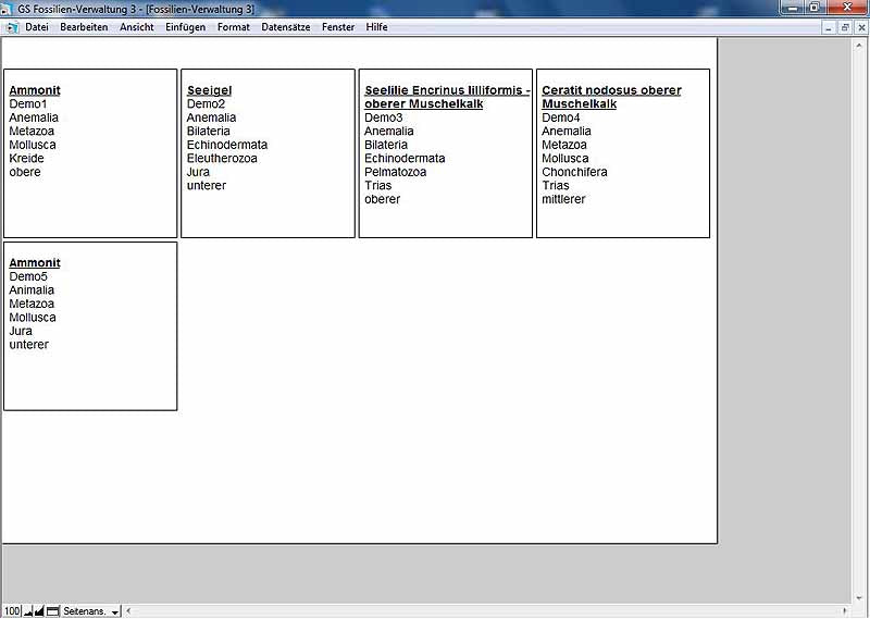 GS Fossilien-Verwaltung 3