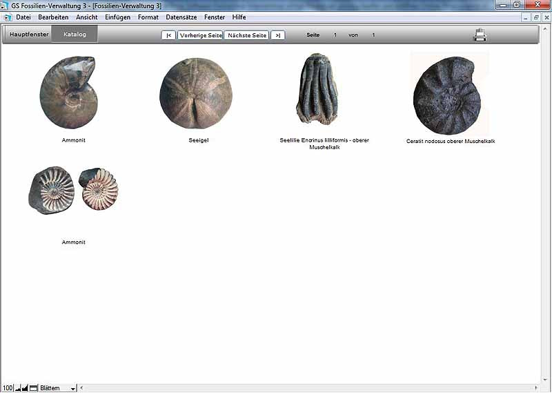 GS Fossilien-Verwaltung 3